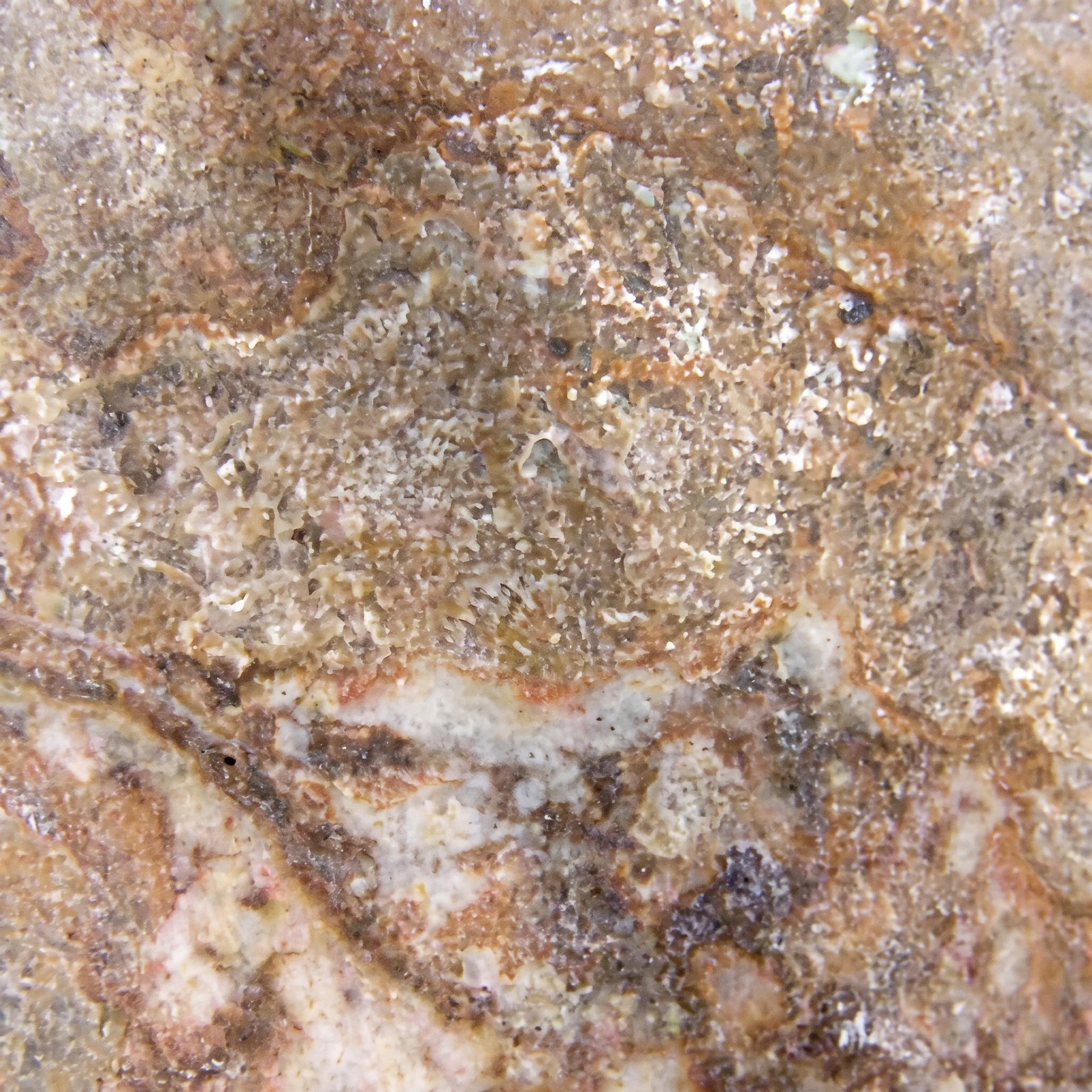 Rustic Brown Natural Stone Tile