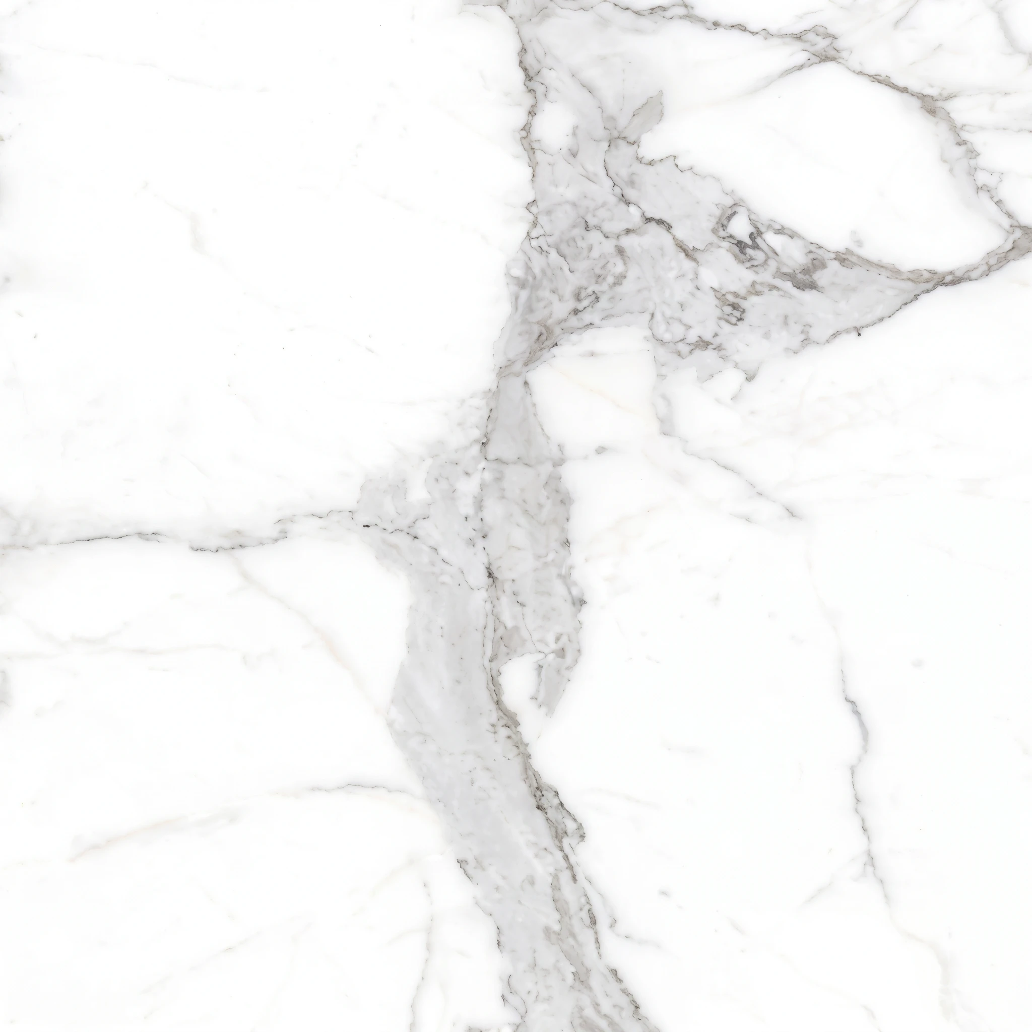 White Marble Look Tile with Veins